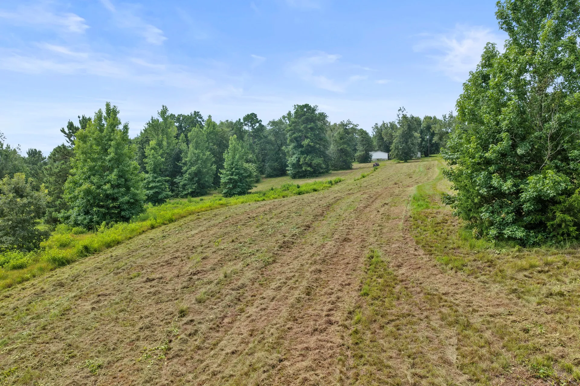 Improved Land For Sale in Cass County , 1381 COUNTY ROAD 1763, Linden, Texas 75563, 0, 0, Garage spaces, 0 Sqft, built in 1996, mls#21342346, Real Estate Agent in Linden, Homes For Sale in Cass county, Homes For Sale in Linden, Realtor in Linden Texas, Real Estate Brokerage Independent Realty Texas, Luminita Cordes Realtor
