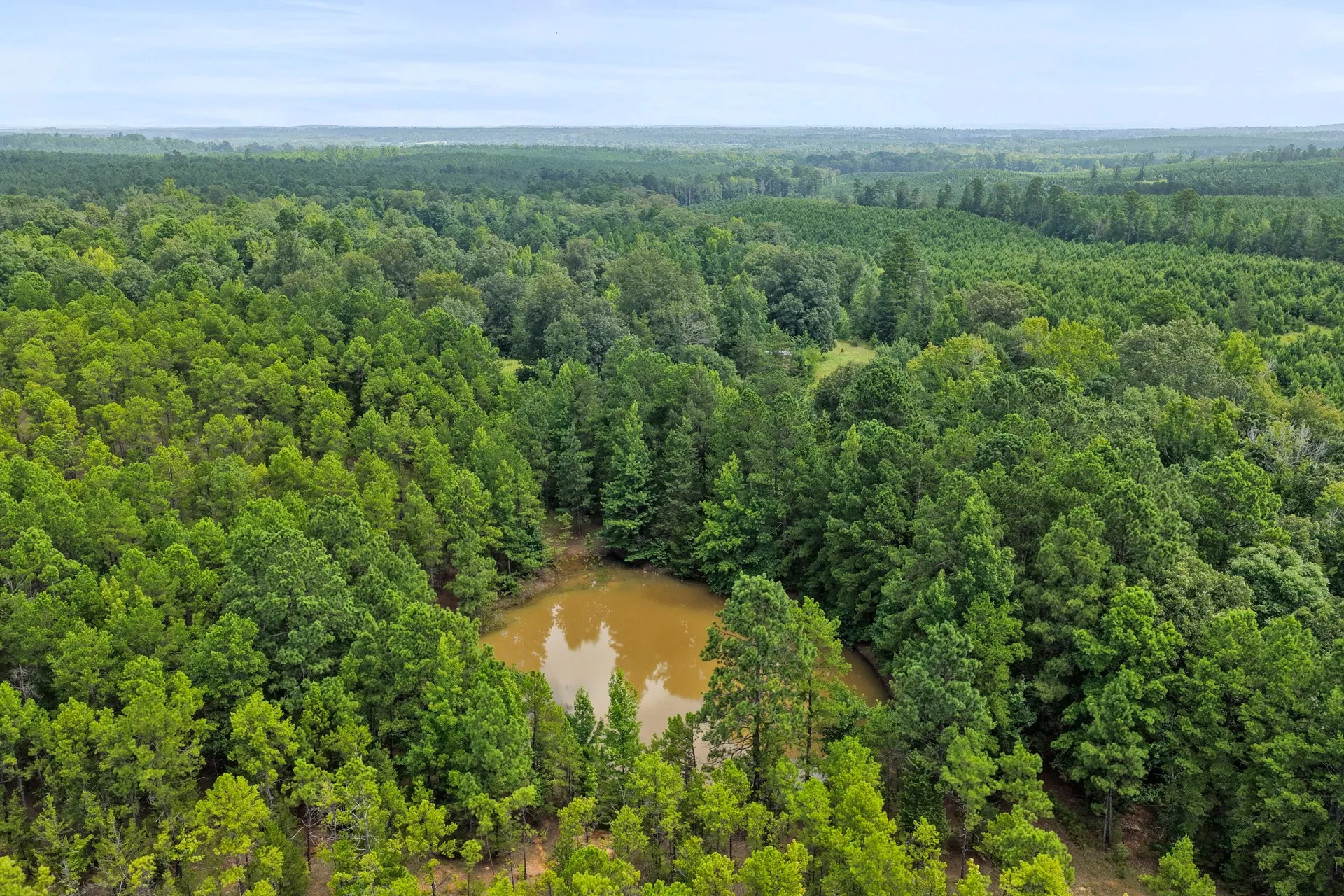 Improved Land For Sale in Cass County , 1381 COUNTY ROAD 1763, Linden, Texas 75563, 0, 0, Garage spaces, 0 Sqft, built in 1996, mls#21342346, Real Estate Agent in Linden, Homes For Sale in Cass county, Homes For Sale in Linden, Realtor in Linden Texas, Real Estate Brokerage Independent Realty Texas, Luminita Cordes Realtor