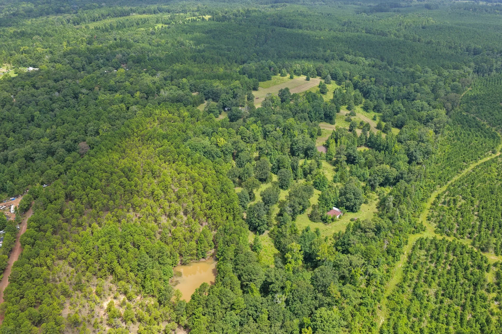 Improved Land For Sale in Cass County , 1381 COUNTY ROAD 1763, Linden, Texas 75563, 0, 0, Garage spaces, 0 Sqft, built in 1996, mls#21342346, Real Estate Agent in Linden, Homes For Sale in Cass county, Homes For Sale in Linden, Realtor in Linden Texas, Real Estate Brokerage Independent Realty Texas, Luminita Cordes Realtor