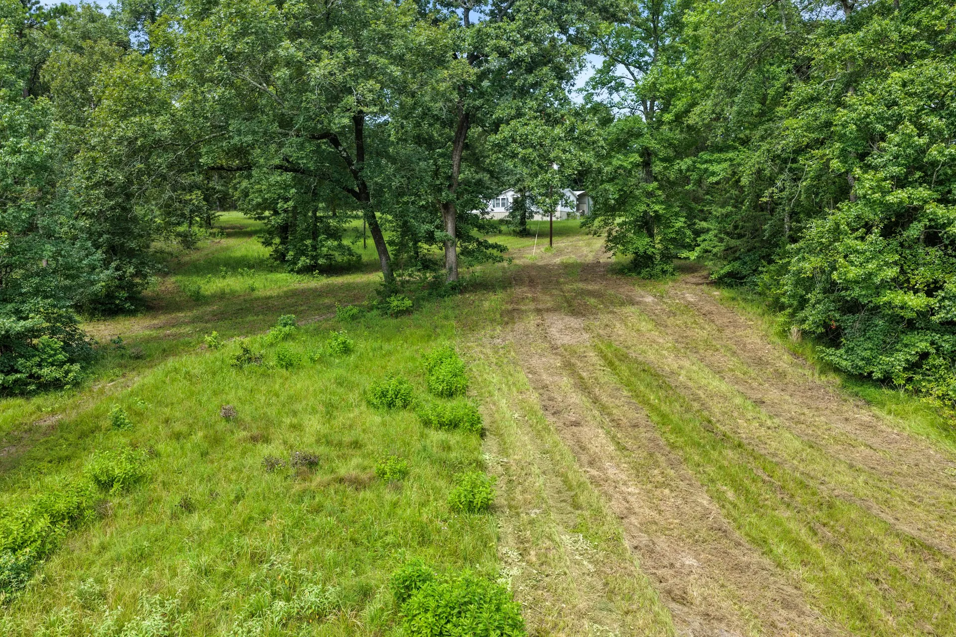 Improved Land For Sale in Cass County , 1381 COUNTY ROAD 1763, Linden, Texas 75563, 0, 0, Garage spaces, 0 Sqft, built in 1996, mls#21342346, Real Estate Agent in Linden, Homes For Sale in Cass county, Homes For Sale in Linden, Realtor in Linden Texas, Real Estate Brokerage Independent Realty Texas, Luminita Cordes Realtor