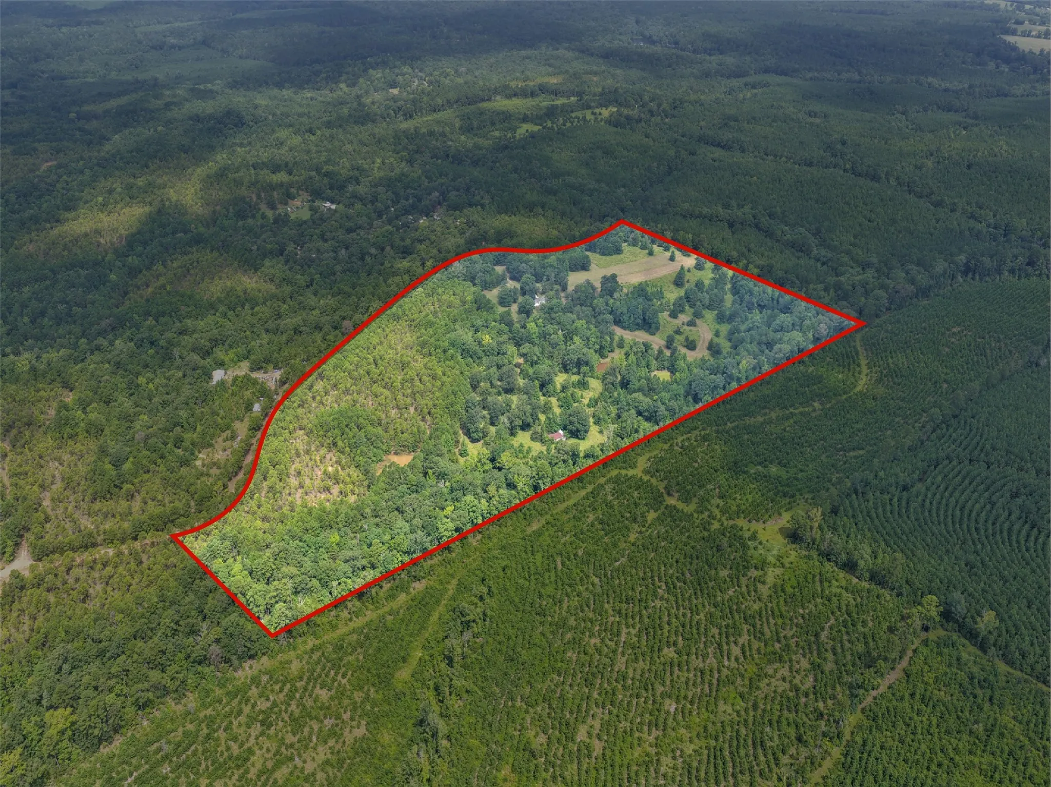 Improved Land For Sale in Cass County , 1381 COUNTY ROAD 1763, Linden, Texas 75563, 0, 0, Garage spaces, 0 Sqft, built in 1996, mls#21342346, Real Estate Agent in Linden, Homes For Sale in Cass county, Homes For Sale in Linden, Realtor in Linden Texas, Real Estate Brokerage Independent Realty Texas, Luminita Cordes Realtor