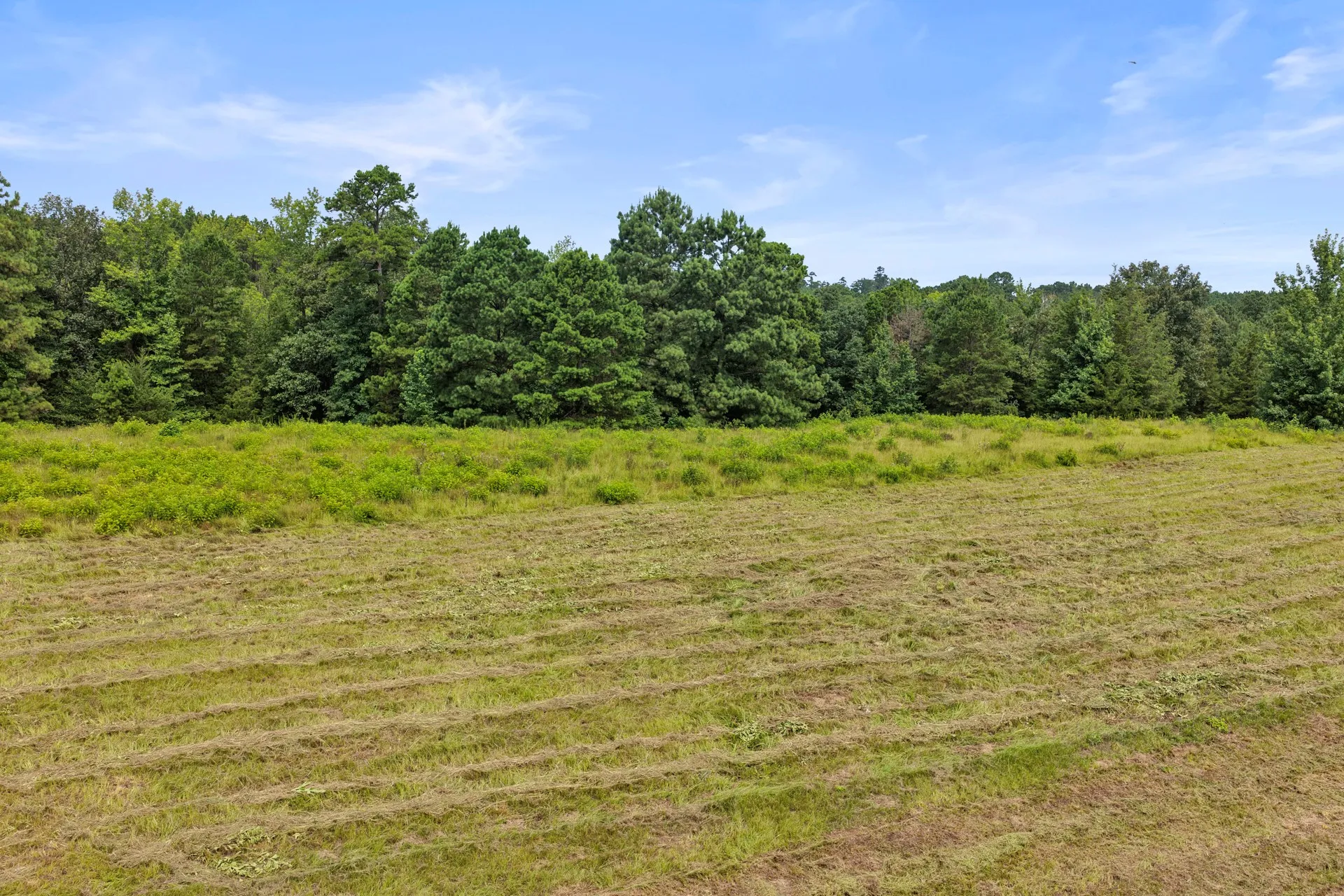 Improved Land For Sale in Cass County , 1381 COUNTY ROAD 1763, Linden, Texas 75563, 0, 0, Garage spaces, 0 Sqft, built in 1996, mls#21342346, Real Estate Agent in Linden, Homes For Sale in Cass county, Homes For Sale in Linden, Realtor in Linden Texas, Real Estate Brokerage Independent Realty Texas, Luminita Cordes Realtor