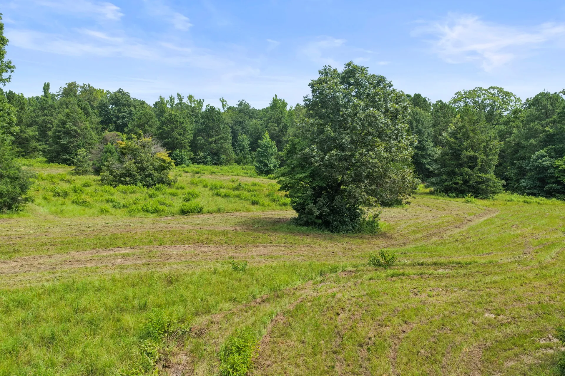 Improved Land For Sale in Cass County , 1381 COUNTY ROAD 1763, Linden, Texas 75563, 0, 0, Garage spaces, 0 Sqft, built in 1996, mls#21342346, Real Estate Agent in Linden, Homes For Sale in Cass county, Homes For Sale in Linden, Realtor in Linden Texas, Real Estate Brokerage Independent Realty Texas, Luminita Cordes Realtor