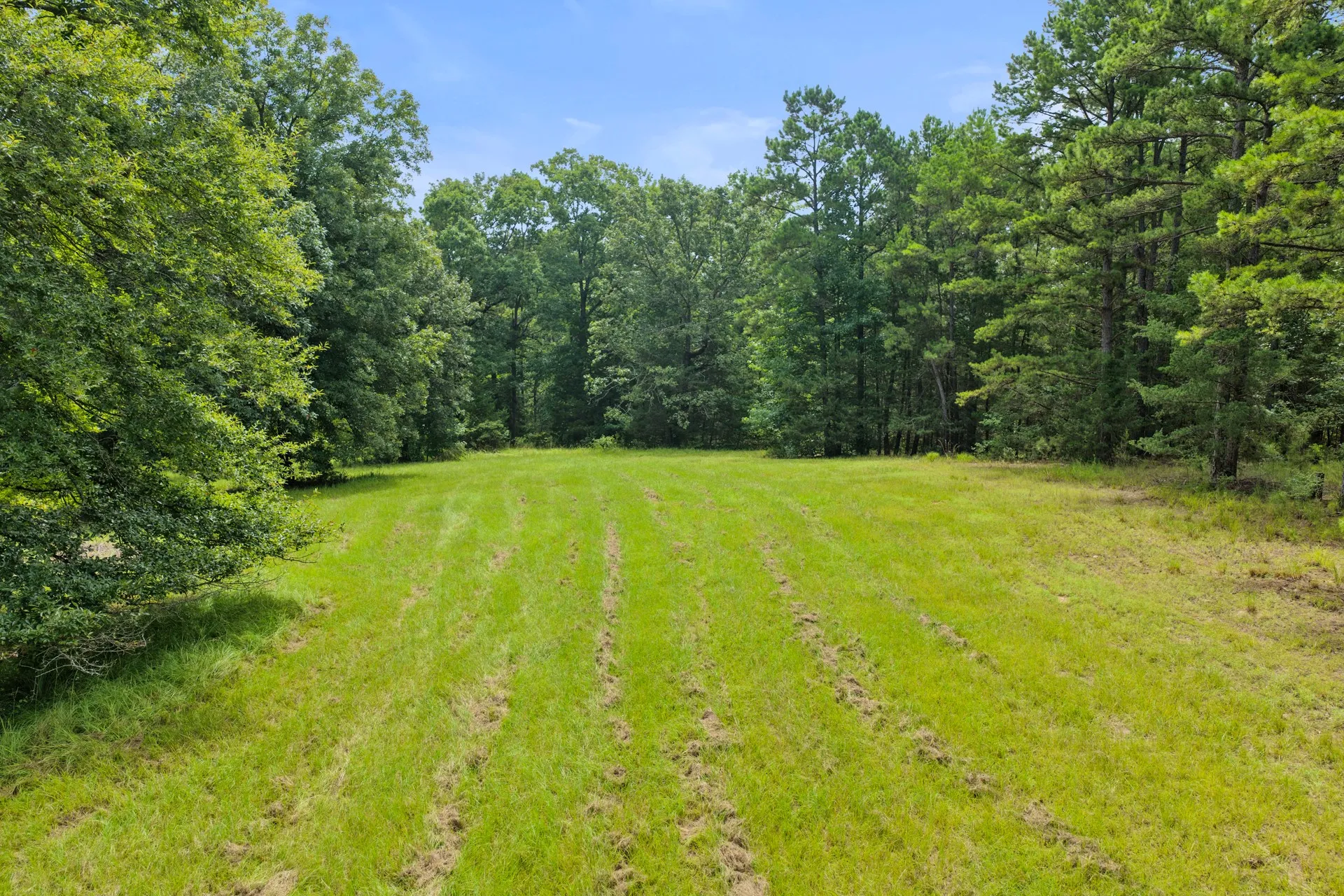 Improved Land For Sale in Cass County , 1381 COUNTY ROAD 1763, Linden, Texas 75563, 0, 0, Garage spaces, 0 Sqft, built in 1996, mls#21342346, Real Estate Agent in Linden, Homes For Sale in Cass county, Homes For Sale in Linden, Realtor in Linden Texas, Real Estate Brokerage Independent Realty Texas, Luminita Cordes Realtor
