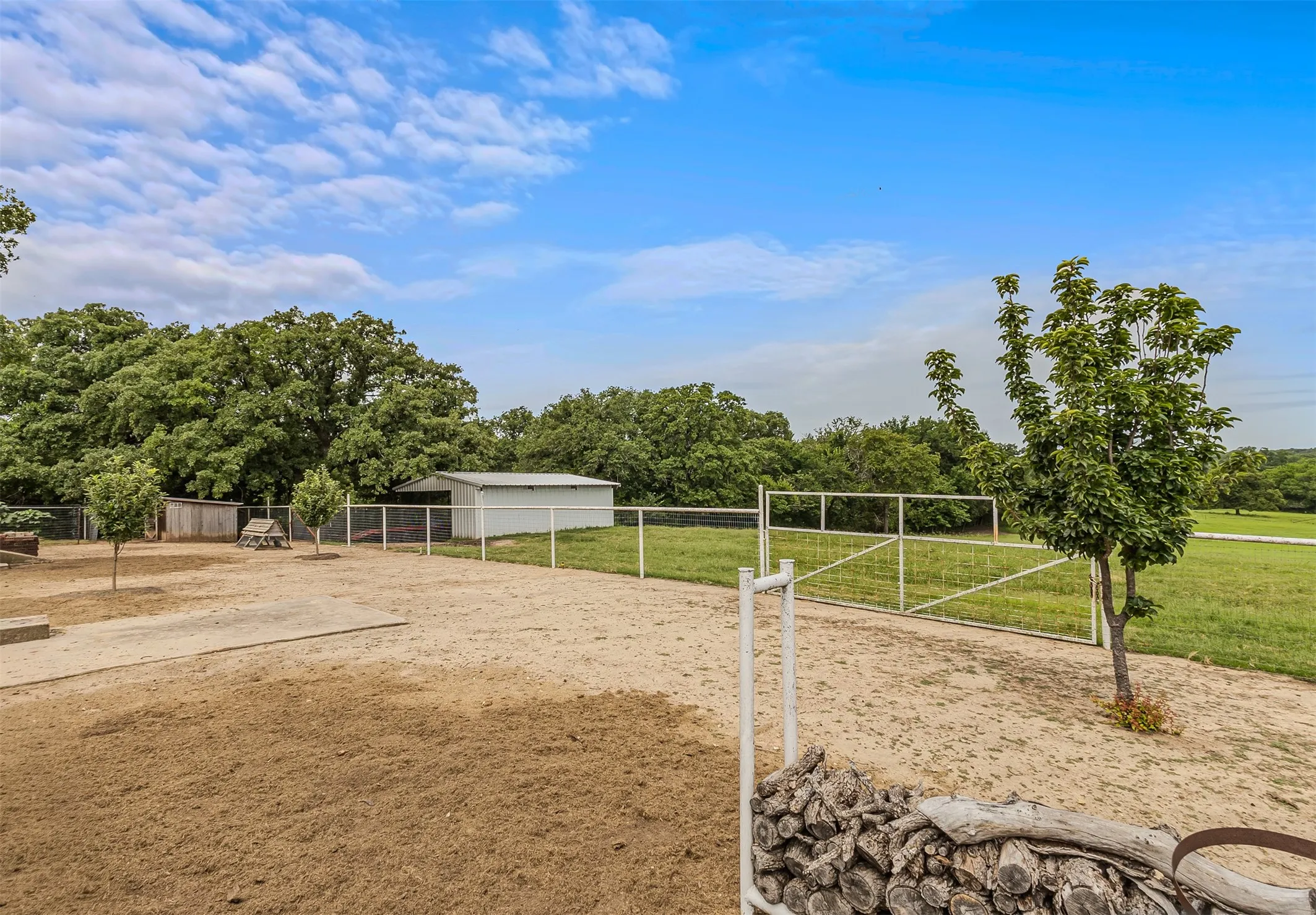 Fenced yard of 339 Colwell Rd in Forestburg, TX