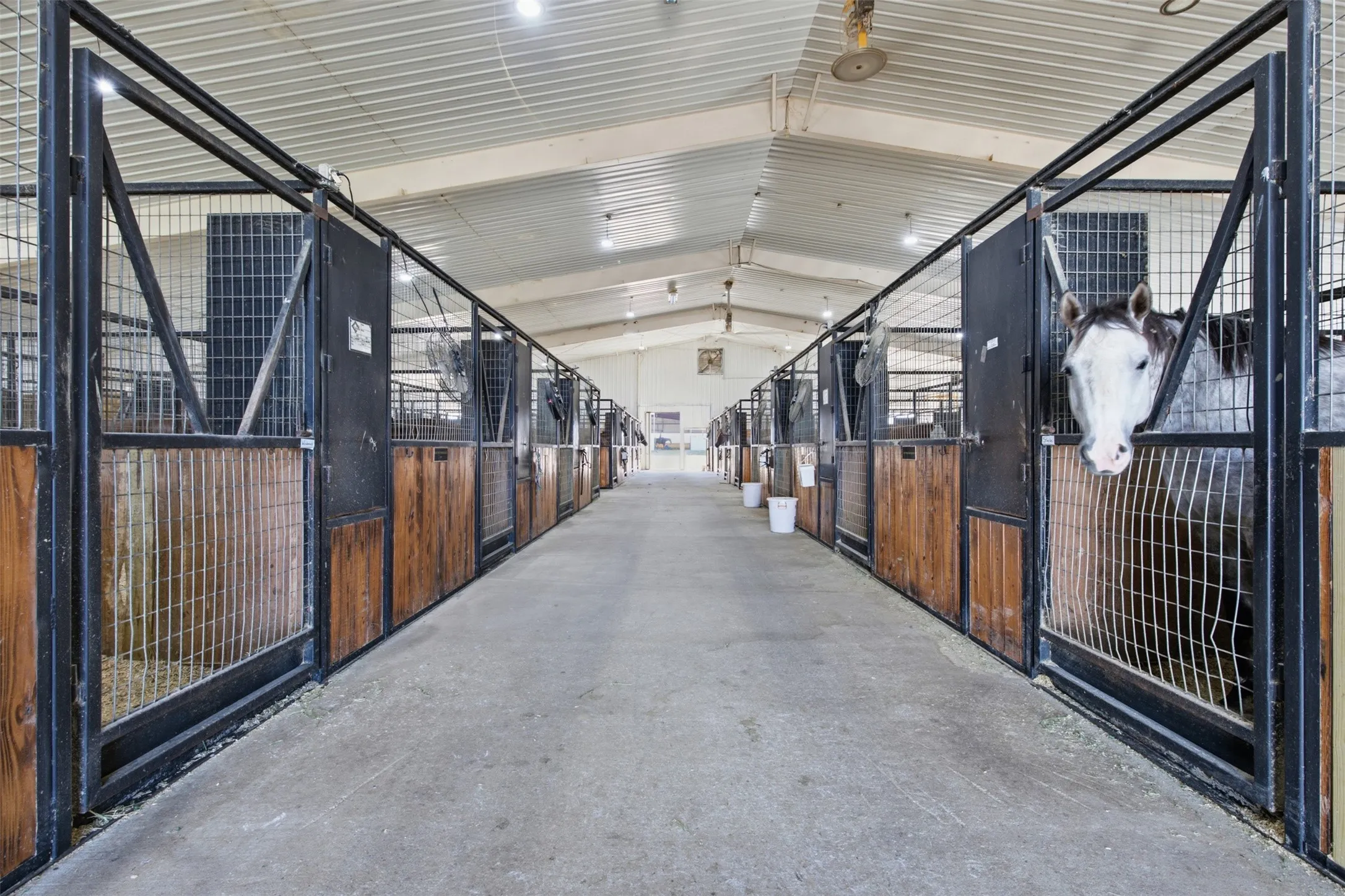 Farm For Sale in Denton County , 4801 S Highway 377, Cross Roads, Texas 76227, 8 Bedroom, 5 Bathroom, 2 Garage spaces, 7,446 Sqft, built in 1986, mls#21339439, Real Estate Agent in Cross Roads, Homes For Sale in Denton county, Homes For Sale in Cross Roads, Realtor in Cross Roads Texas, Real Estate Brokerage Independent Realty Texas, Luminita Cordes Realtor