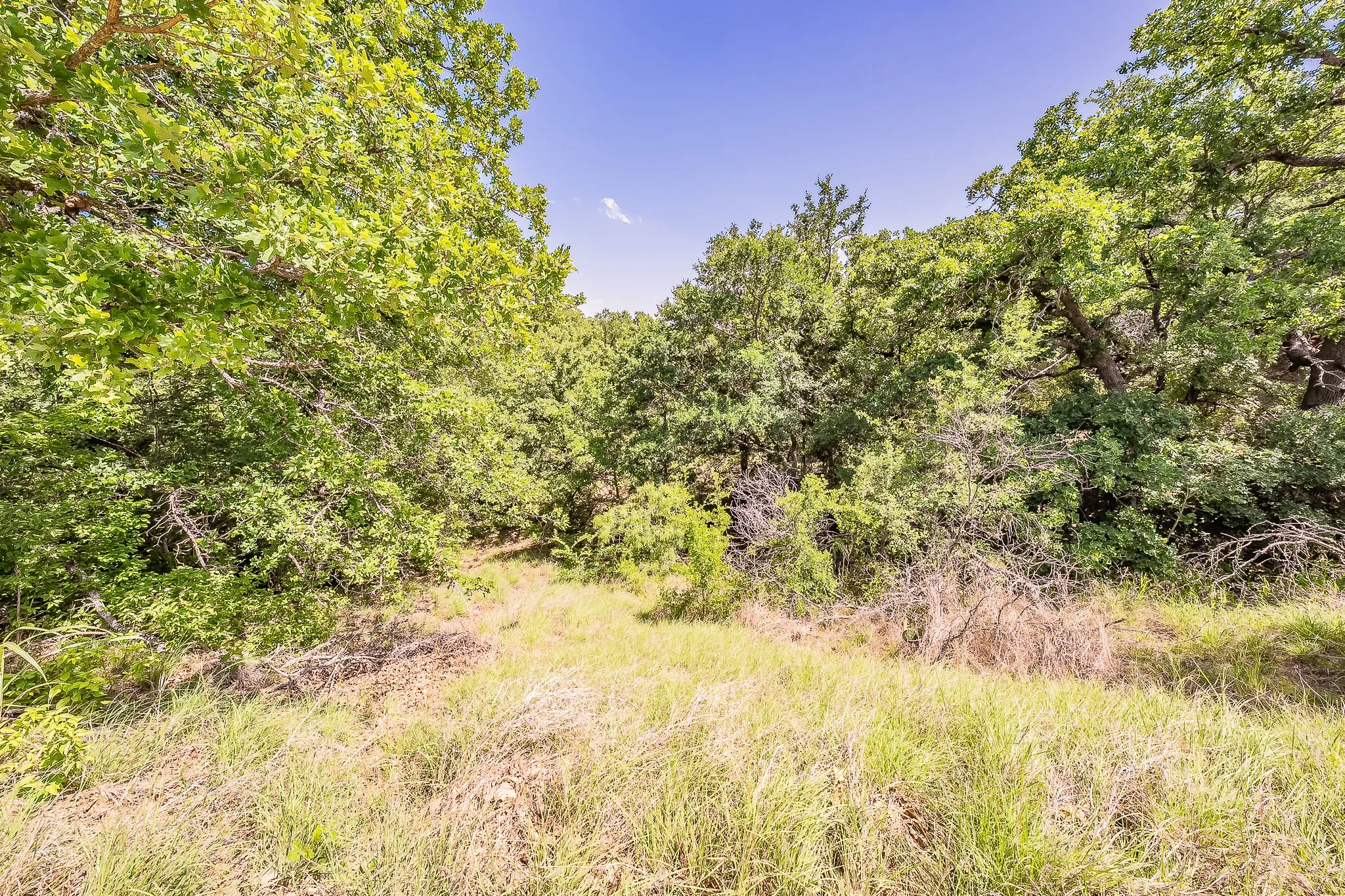 Unimproved Land For Sale in Parker County , 8955 I-20 Service Road, Millsap, Texas 76066, 0, 0, Garage spaces, 0 Sqft, built in 0, mls#21342481, Real Estate Agent in Millsap, Homes For Sale in Parker county, Homes For Sale in Millsap, Realtor in Millsap Texas, Real Estate Brokerage Independent Realty Texas, Luminita Cordes Realtor