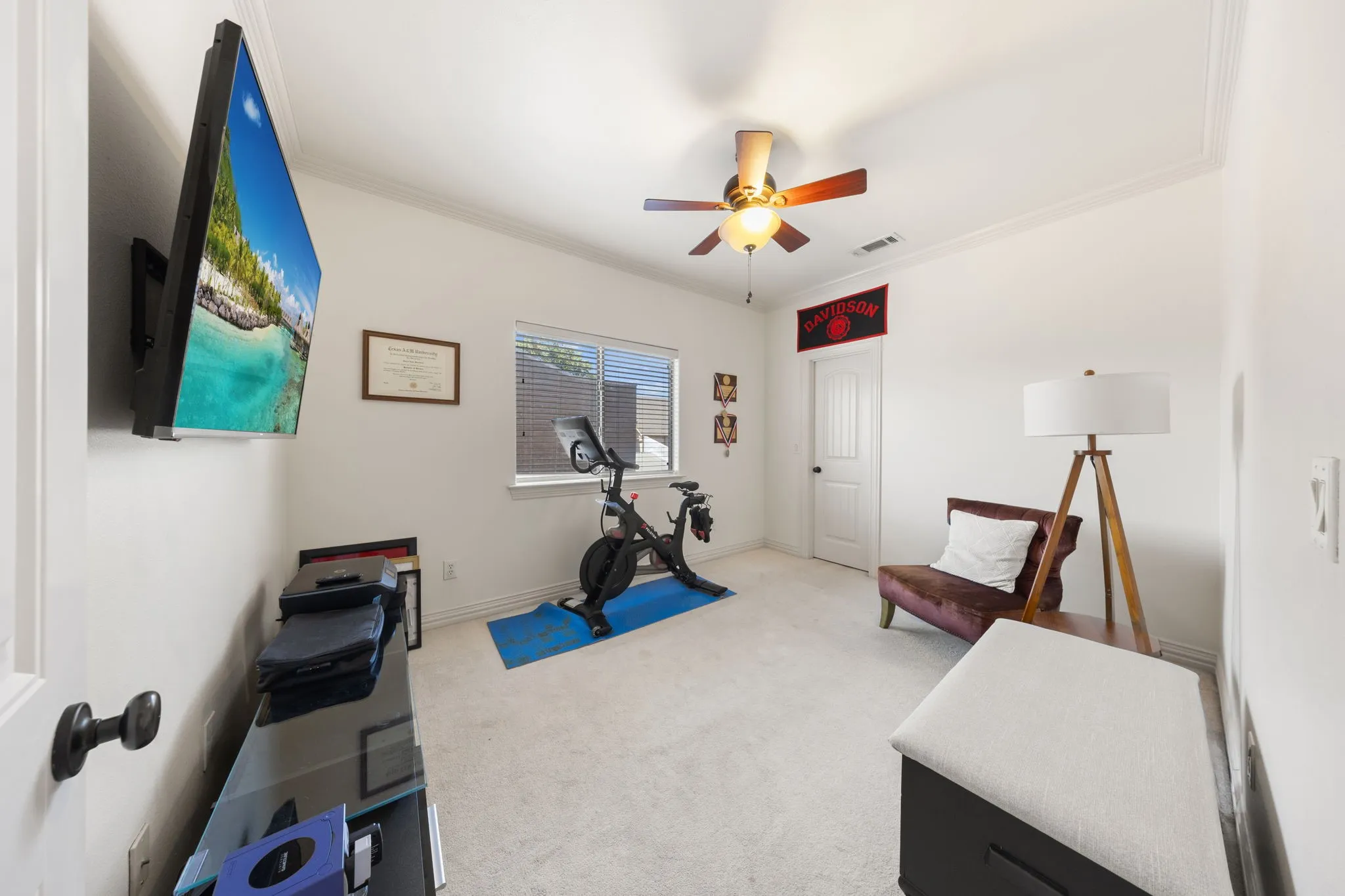 Carpeted room with a ceiling fan, crown molding, and a window with blinds