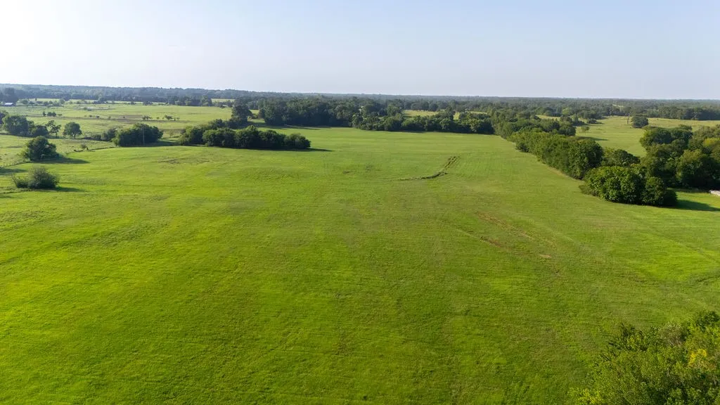 Improved Land For Sale in Franklin (TX) County , TBD SW County Road 3250, Winnsboro, Texas 75494, 0, 0, Garage spaces, 0 Sqft, built in 0, Price $455,000, mls#21342516, Real Estate Agent in Winnsboro, Homes For Sale in Franklin (TX) county, Homes For Sale in Winnsboro, Realtor in Winnsboro Texas, Real Estate Brokerage Independent Realty Texas, Luminita Cordes Realtor