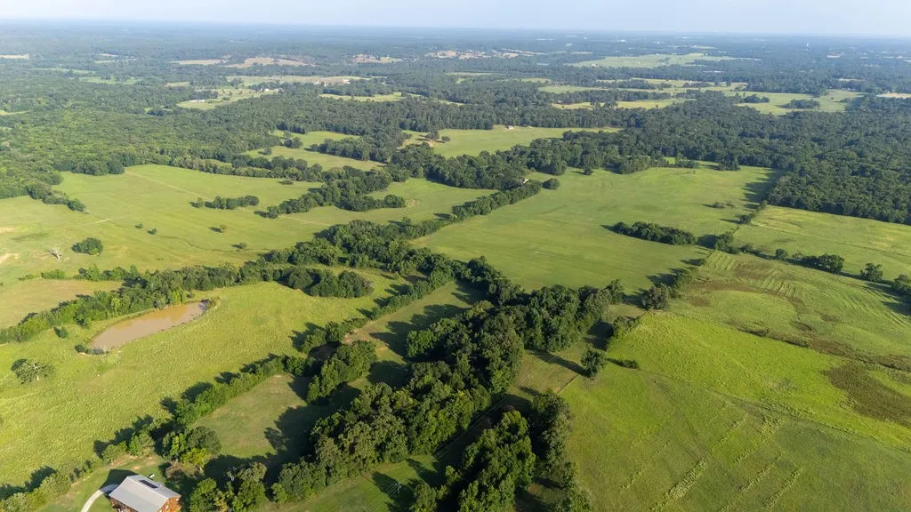 Improved Land For Sale in Franklin (TX) County , TBD SW County Road 3250, Winnsboro, Texas 75494, 0, 0, Garage spaces, 0 Sqft, built in 0, Price $455,000, mls#21342516, Real Estate Agent in Winnsboro, Homes For Sale in Franklin (TX) county, Homes For Sale in Winnsboro, Realtor in Winnsboro Texas, Real Estate Brokerage Independent Realty Texas, Luminita Cordes Realtor