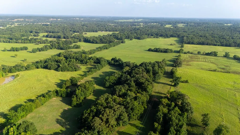 Improved Land For Sale in Franklin (TX) County , TBD SW County Road 3250, Winnsboro, Texas 75494, 0, 0, Garage spaces, 0 Sqft, built in 0, Price $455,000, mls#21342516, Real Estate Agent in Winnsboro, Homes For Sale in Franklin (TX) county, Homes For Sale in Winnsboro, Realtor in Winnsboro Texas, Real Estate Brokerage Independent Realty Texas, Luminita Cordes Realtor