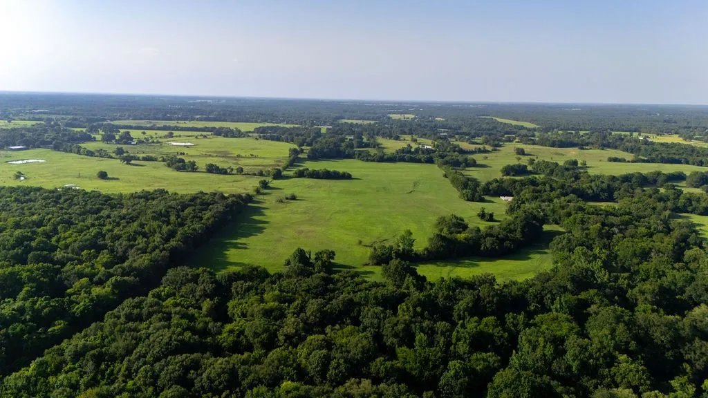 Improved Land For Sale in Franklin (TX) County , TBD SW County Road 3250, Winnsboro, Texas 75494, 0, 0, Garage spaces, 0 Sqft, built in 0, Price $455,000, mls#21342516, Real Estate Agent in Winnsboro, Homes For Sale in Franklin (TX) county, Homes For Sale in Winnsboro, Realtor in Winnsboro Texas, Real Estate Brokerage Independent Realty Texas, Luminita Cordes Realtor