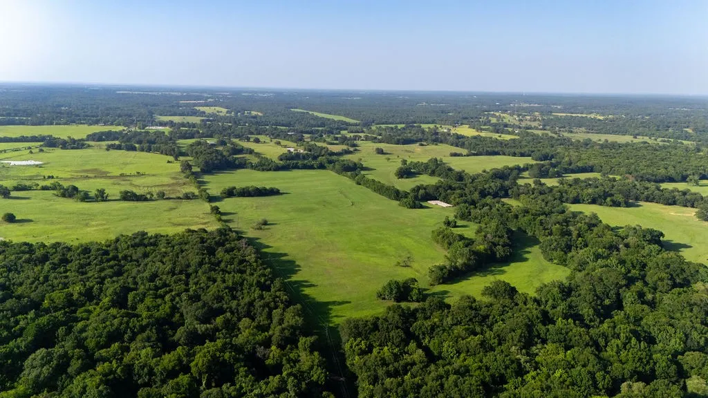 Improved Land For Sale in Franklin (TX) County , TBD SW County Road 3250, Winnsboro, Texas 75494, 0, 0, Garage spaces, 0 Sqft, built in 0, Price $455,000, mls#21342516, Real Estate Agent in Winnsboro, Homes For Sale in Franklin (TX) county, Homes For Sale in Winnsboro, Realtor in Winnsboro Texas, Real Estate Brokerage Independent Realty Texas, Luminita Cordes Realtor