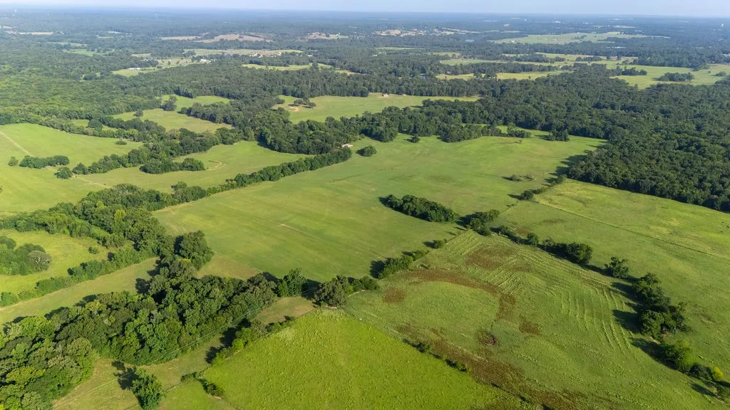 Improved Land For Sale in Franklin (TX) County , TBD SW County Road 3250, Winnsboro, Texas 75494, 0, 0, Garage spaces, 0 Sqft, built in 0, Price $455,000, mls#21342516, Real Estate Agent in Winnsboro, Homes For Sale in Franklin (TX) county, Homes For Sale in Winnsboro, Realtor in Winnsboro Texas, Real Estate Brokerage Independent Realty Texas, Luminita Cordes Realtor
