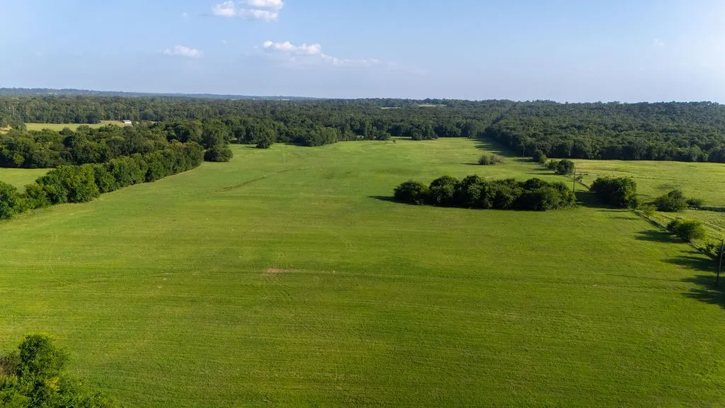 Improved Land For Sale in Franklin (TX) County , TBD SW County Road 3250, Winnsboro, Texas 75494, 0, 0, Garage spaces, 0 Sqft, built in 0, Price $455,000, mls#21342516, Real Estate Agent in Winnsboro, Homes For Sale in Franklin (TX) county, Homes For Sale in Winnsboro, Realtor in Winnsboro Texas, Real Estate Brokerage Independent Realty Texas, Luminita Cordes Realtor