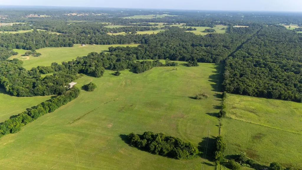 Improved Land For Sale in Franklin (TX) County , TBD SW County Road 3250, Winnsboro, Texas 75494, 0, 0, Garage spaces, 0 Sqft, built in 0, Price $455,000, mls#21342516, Real Estate Agent in Winnsboro, Homes For Sale in Franklin (TX) county, Homes For Sale in Winnsboro, Realtor in Winnsboro Texas, Real Estate Brokerage Independent Realty Texas, Luminita Cordes Realtor