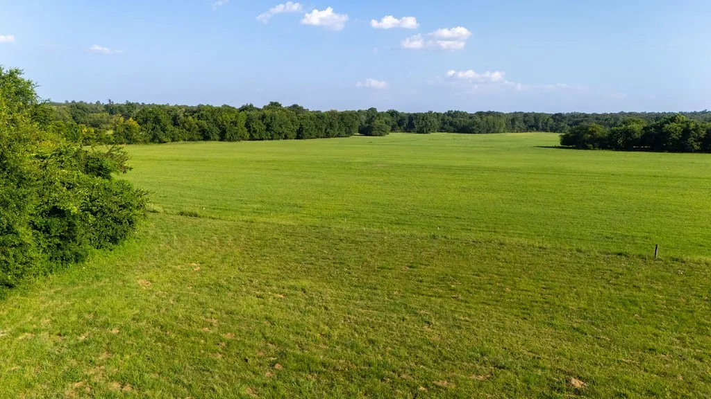 Improved Land For Sale in Franklin (TX) County , TBD SW County Road 3250, Winnsboro, Texas 75494, 0, 0, Garage spaces, 0 Sqft, built in 0, Price $455,000, mls#21342516, Real Estate Agent in Winnsboro, Homes For Sale in Franklin (TX) county, Homes For Sale in Winnsboro, Realtor in Winnsboro Texas, Real Estate Brokerage Independent Realty Texas, Luminita Cordes Realtor