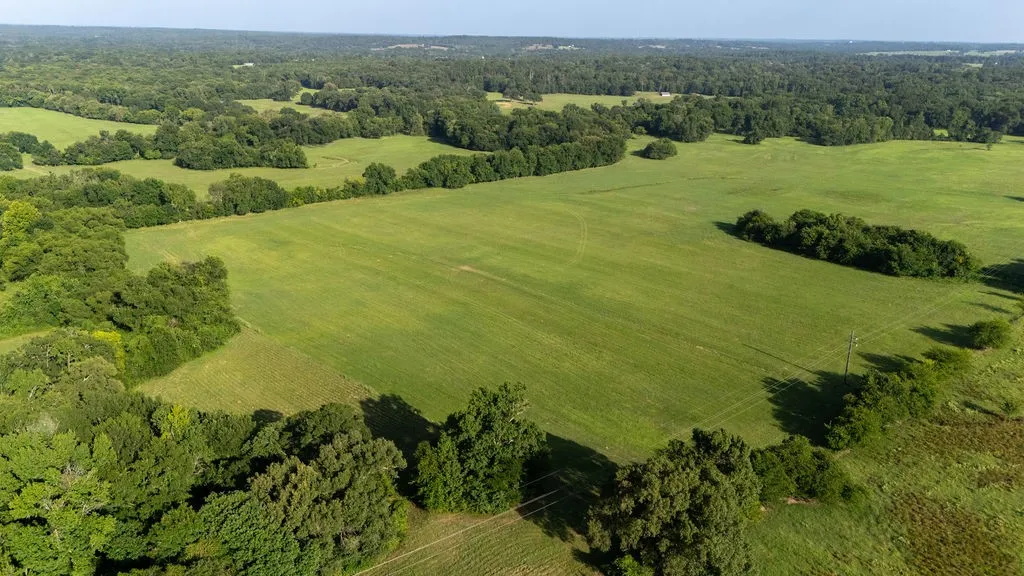 Improved Land For Sale in Franklin (TX) County , TBD SW County Road 3250, Winnsboro, Texas 75494, 0, 0, Garage spaces, 0 Sqft, built in 0, Price $455,000, mls#21342516, Real Estate Agent in Winnsboro, Homes For Sale in Franklin (TX) county, Homes For Sale in Winnsboro, Realtor in Winnsboro Texas, Real Estate Brokerage Independent Realty Texas, Luminita Cordes Realtor