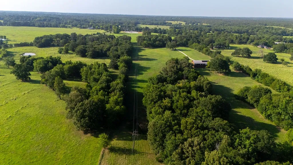 Improved Land For Sale in Franklin (TX) County , TBD SW County Road 3250, Winnsboro, Texas 75494, 0, 0, Garage spaces, 0 Sqft, built in 0, Price $455,000, mls#21342516, Real Estate Agent in Winnsboro, Homes For Sale in Franklin (TX) county, Homes For Sale in Winnsboro, Realtor in Winnsboro Texas, Real Estate Brokerage Independent Realty Texas, Luminita Cordes Realtor