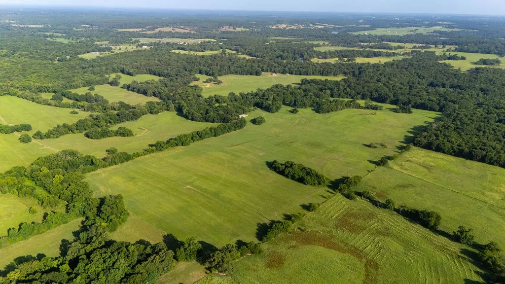 Improved Land For Sale in Franklin (TX) County , TBD SW County Road 3250, Winnsboro, Texas 75494, 0, 0, Garage spaces, 0 Sqft, built in 0, Price $455,000, mls#21342516, Real Estate Agent in Winnsboro, Homes For Sale in Franklin (TX) county, Homes For Sale in Winnsboro, Realtor in Winnsboro Texas, Real Estate Brokerage Independent Realty Texas, Luminita Cordes Realtor