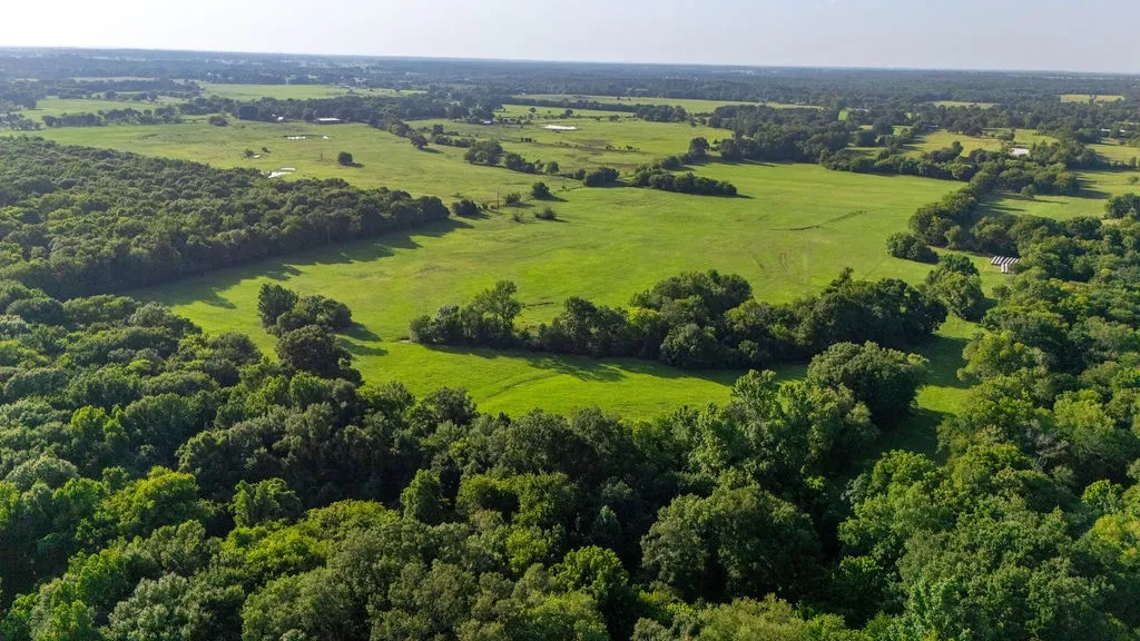 Improved Land For Sale in Franklin (TX) County , TBD SW County Road 3250, Winnsboro, Texas 75494, 0, 0, Garage spaces, 0 Sqft, built in 0, Price $455,000, mls#21342516, Real Estate Agent in Winnsboro, Homes For Sale in Franklin (TX) county, Homes For Sale in Winnsboro, Realtor in Winnsboro Texas, Real Estate Brokerage Independent Realty Texas, Luminita Cordes Realtor