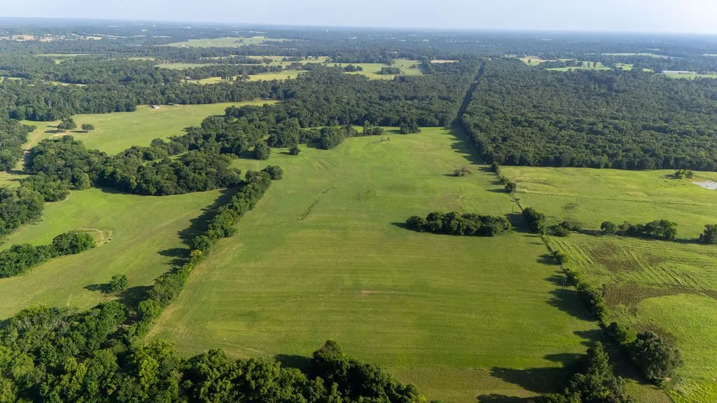 Improved Land For Sale in Franklin (TX) County , TBD SW County Road 3250, Winnsboro, Texas 75494, 0, 0, Garage spaces, 0 Sqft, built in 0, Price $455,000, mls#21342516, Real Estate Agent in Winnsboro, Homes For Sale in Franklin (TX) county, Homes For Sale in Winnsboro, Realtor in Winnsboro Texas, Real Estate Brokerage Independent Realty Texas, Luminita Cordes Realtor