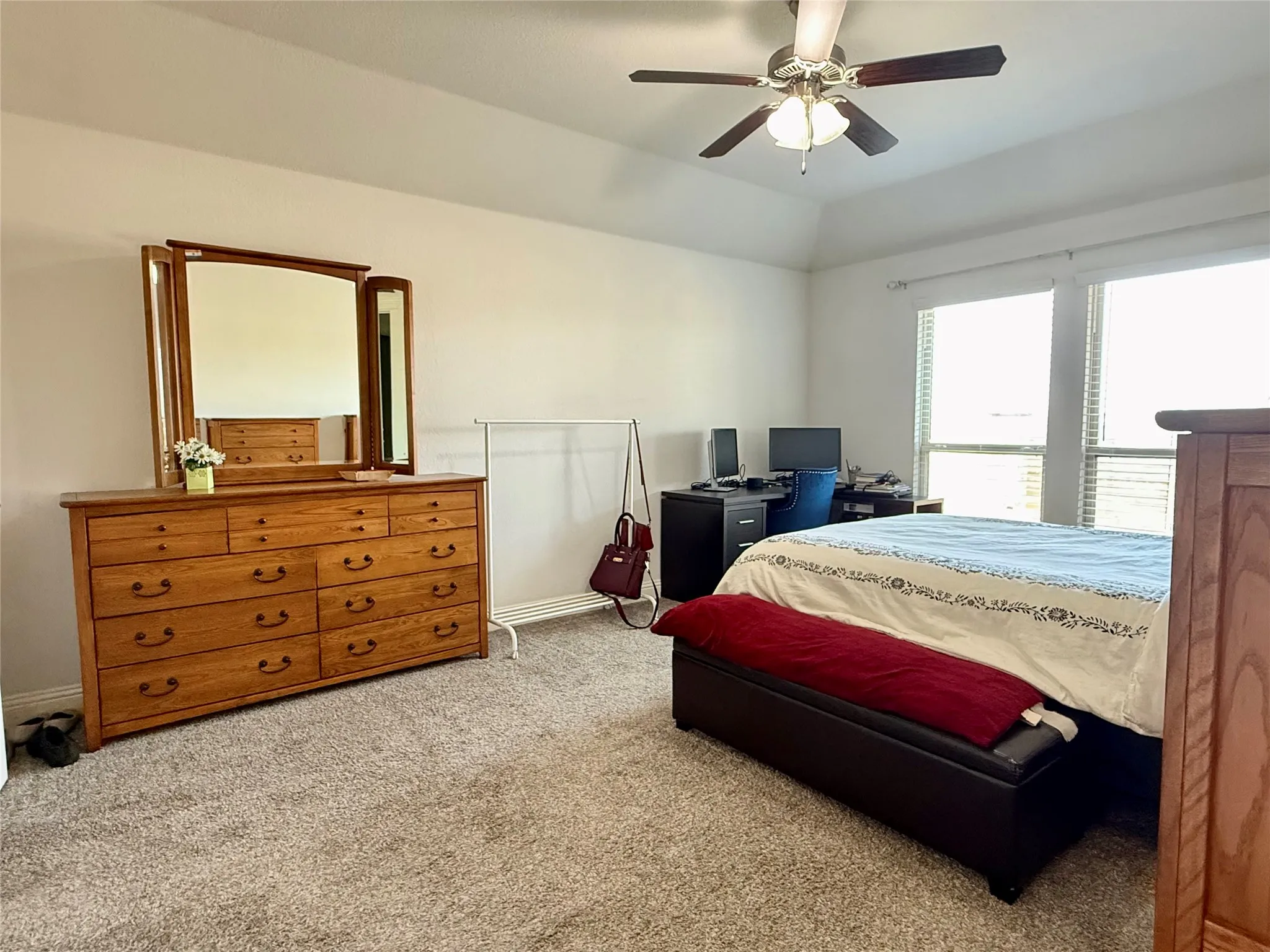 Carpeted room featuring a ceiling fan, tray ceiling, and multiple windows with blinds