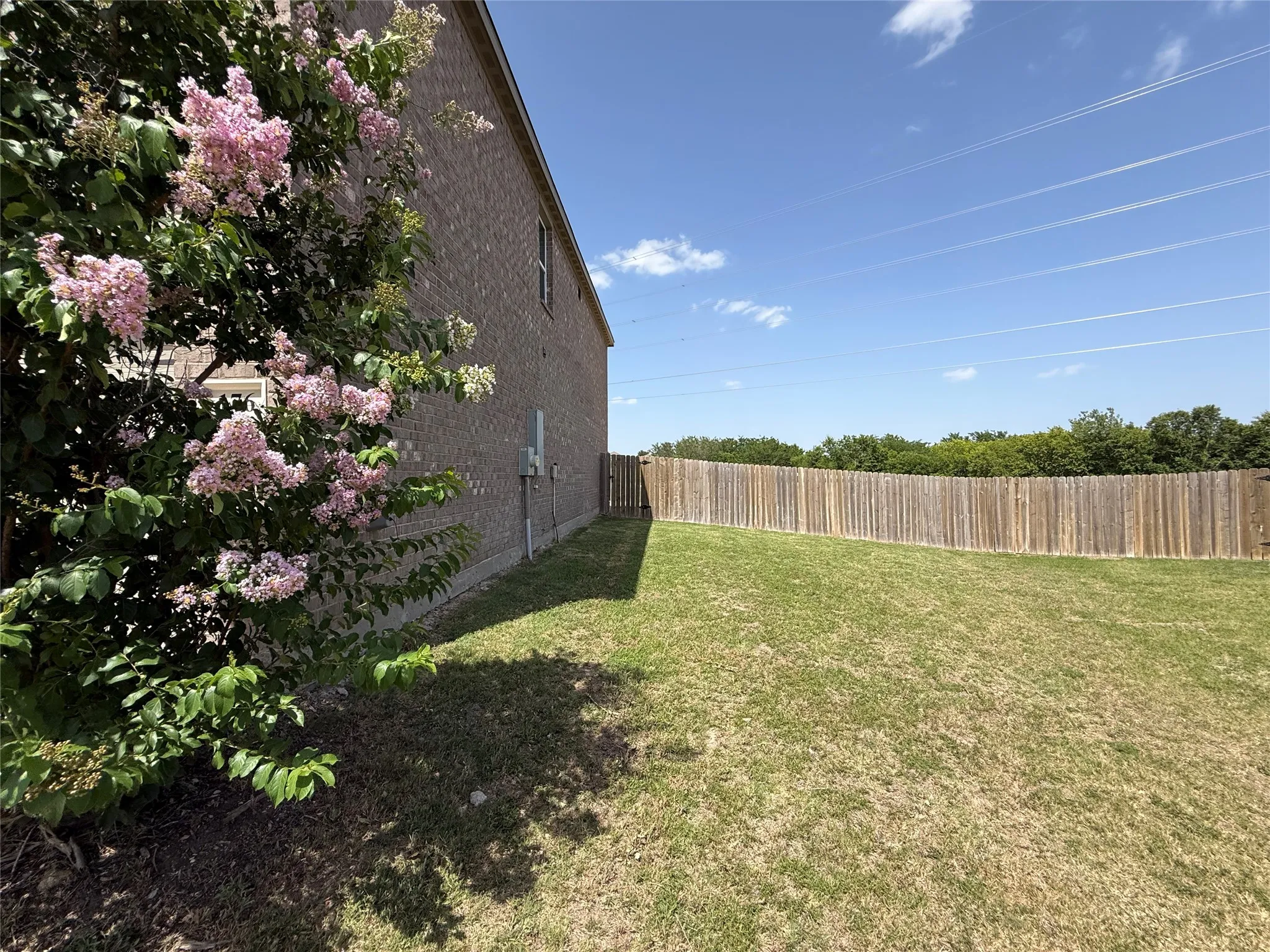 Right yard
