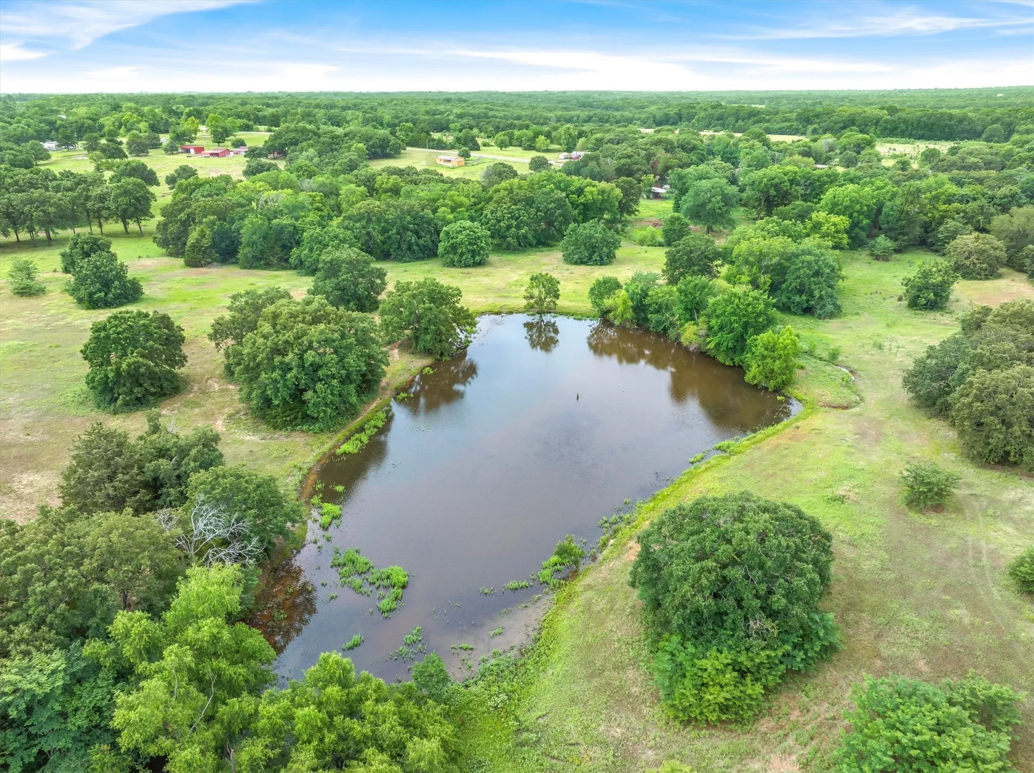 Expansive land featuring a large pond surrounded by mature trees and verdant acreage under a clear sky