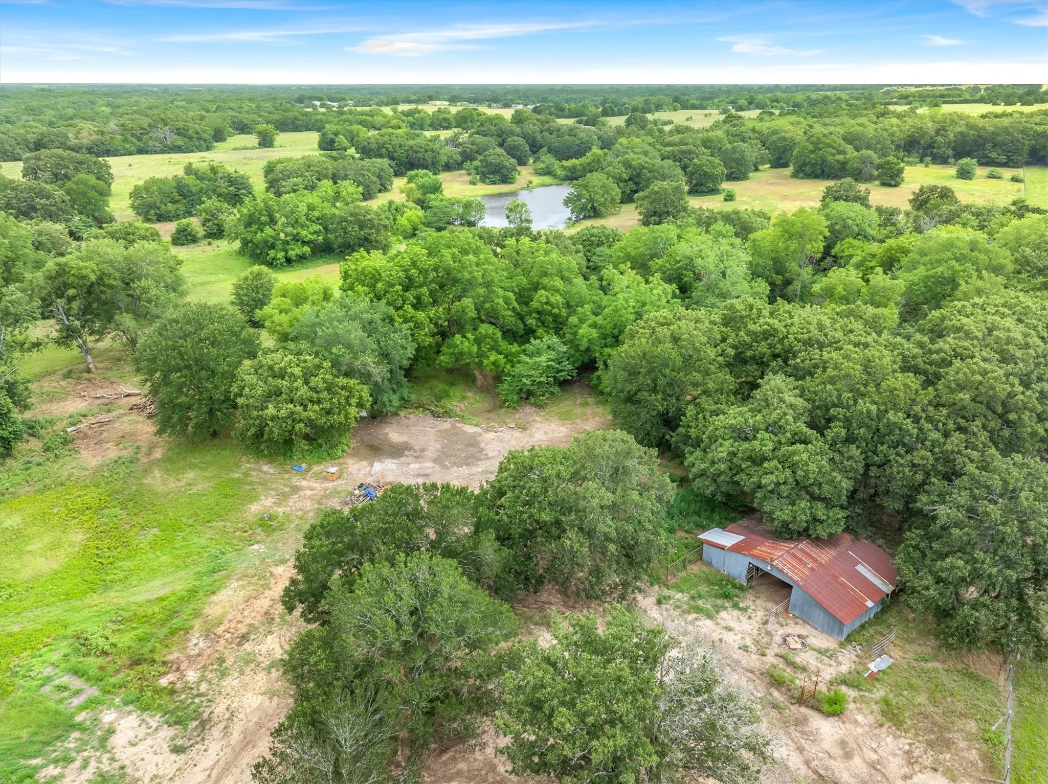 Expansive green landscape featuring mature trees and a tranquil pond