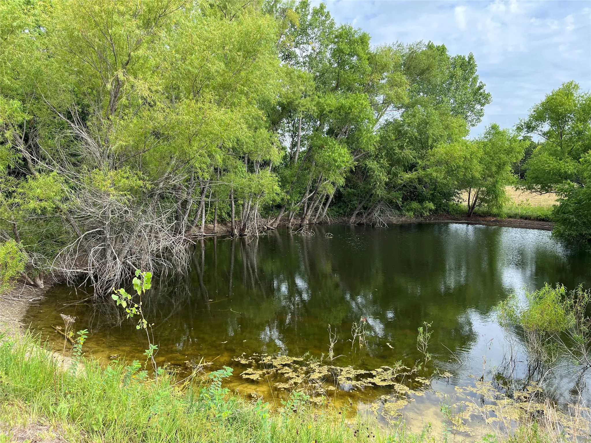 Unimproved Land For Sale in Grayson County , 451 Coker Road, Sherman, Texas 75090, 0, 0, Garage spaces, 0 Sqft, built in 0, mls#21342270, Real Estate Agent in Sherman, Homes For Sale in Grayson county, Homes For Sale in Sherman, Realtor in Sherman Texas, Real Estate Brokerage Independent Realty Texas, Luminita Cordes Realtor