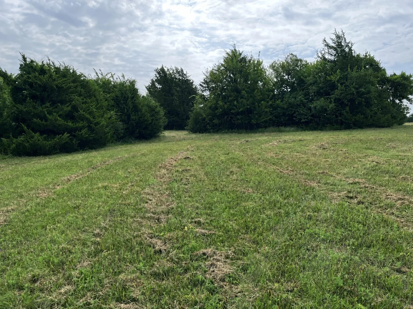 Unimproved Land For Sale in Grayson County , 451 Coker Road, Sherman, Texas 75090, 0, 0, Garage spaces, 0 Sqft, built in 0, mls#21342270, Real Estate Agent in Sherman, Homes For Sale in Grayson county, Homes For Sale in Sherman, Realtor in Sherman Texas, Real Estate Brokerage Independent Realty Texas, Luminita Cordes Realtor