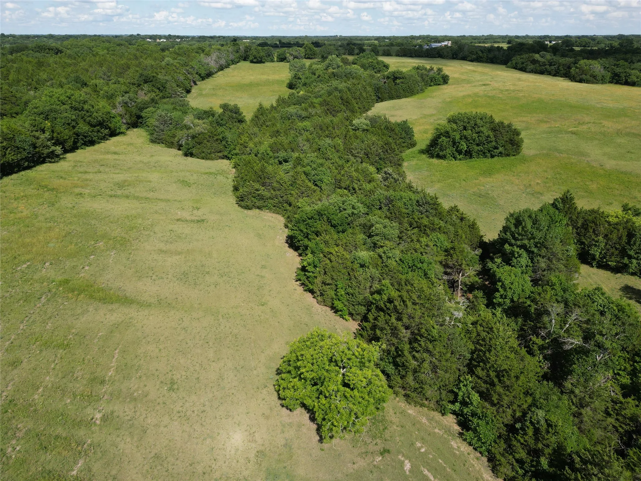 Unimproved Land For Sale in Grayson County , 451 Coker Road, Sherman, Texas 75090, 0, 0, Garage spaces, 0 Sqft, built in 0, mls#21342270, Real Estate Agent in Sherman, Homes For Sale in Grayson county, Homes For Sale in Sherman, Realtor in Sherman Texas, Real Estate Brokerage Independent Realty Texas, Luminita Cordes Realtor