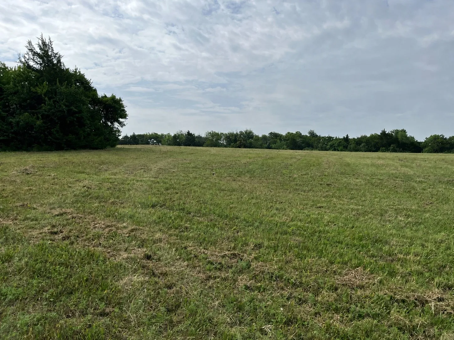 Unimproved Land For Sale in Grayson County , 451 Coker Road, Sherman, Texas 75090, 0, 0, Garage spaces, 0 Sqft, built in 0, mls#21342270, Real Estate Agent in Sherman, Homes For Sale in Grayson county, Homes For Sale in Sherman, Realtor in Sherman Texas, Real Estate Brokerage Independent Realty Texas, Luminita Cordes Realtor