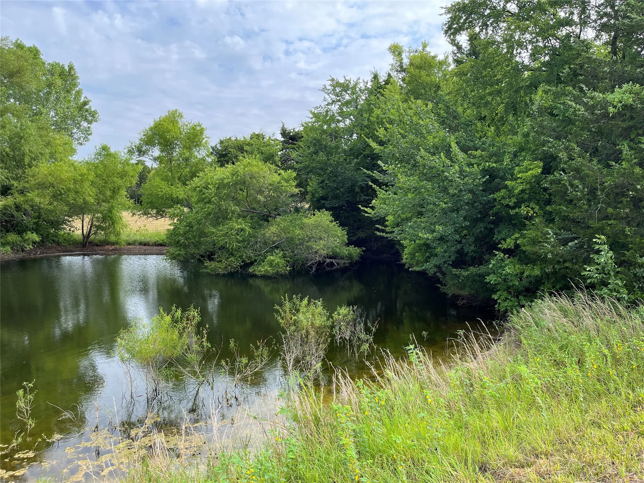 Unimproved Land For Sale in Grayson County , 451 Coker Road, Sherman, Texas 75090, 0, 0, Garage spaces, 0 Sqft, built in 0, mls#21342270, Real Estate Agent in Sherman, Homes For Sale in Grayson county, Homes For Sale in Sherman, Realtor in Sherman Texas, Real Estate Brokerage Independent Realty Texas, Luminita Cordes Realtor