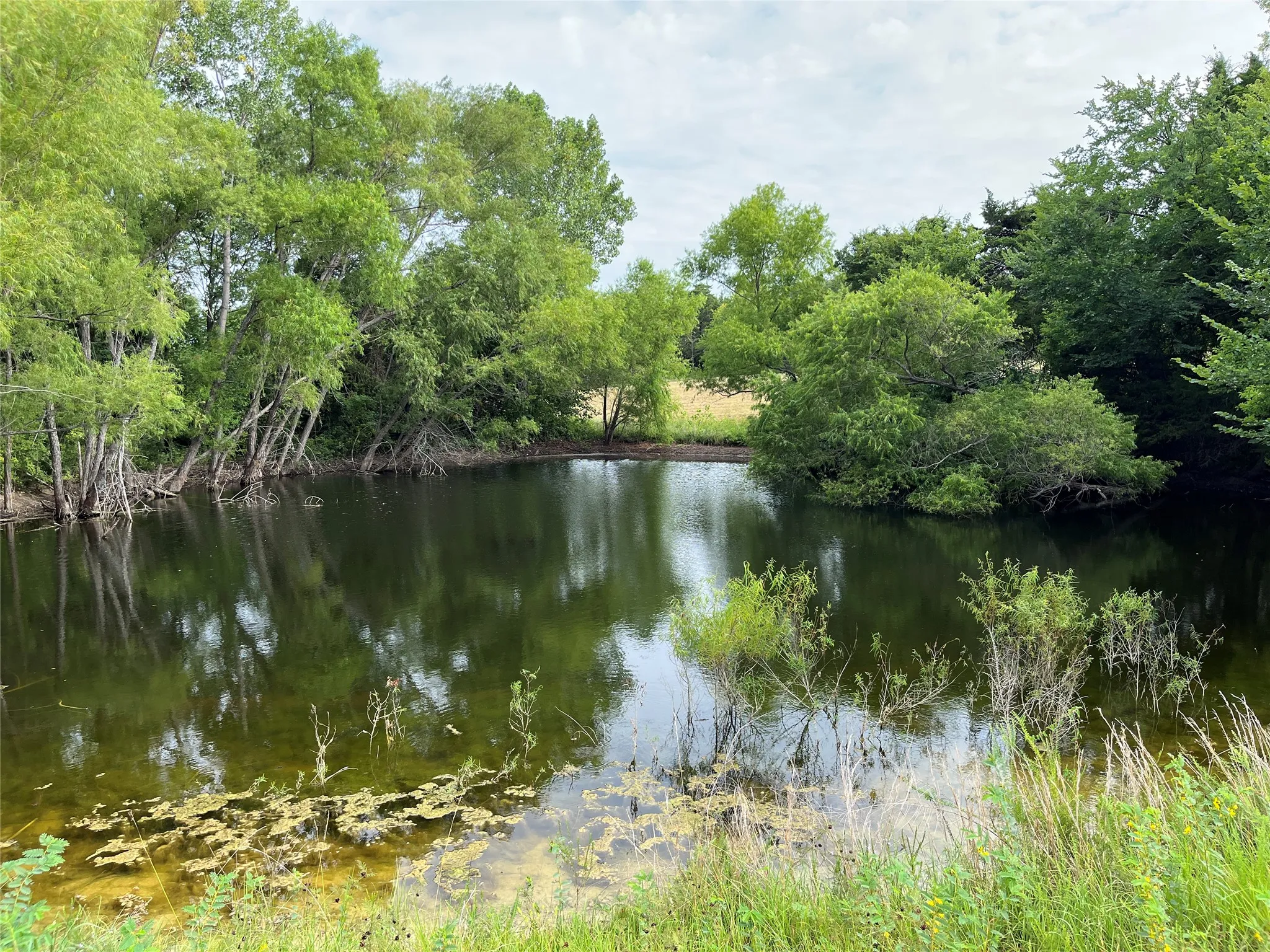 Unimproved Land For Sale in Grayson County , 451 Coker Road, Sherman, Texas 75090, 0, 0, Garage spaces, 0 Sqft, built in 0, mls#21342270, Real Estate Agent in Sherman, Homes For Sale in Grayson county, Homes For Sale in Sherman, Realtor in Sherman Texas, Real Estate Brokerage Independent Realty Texas, Luminita Cordes Realtor