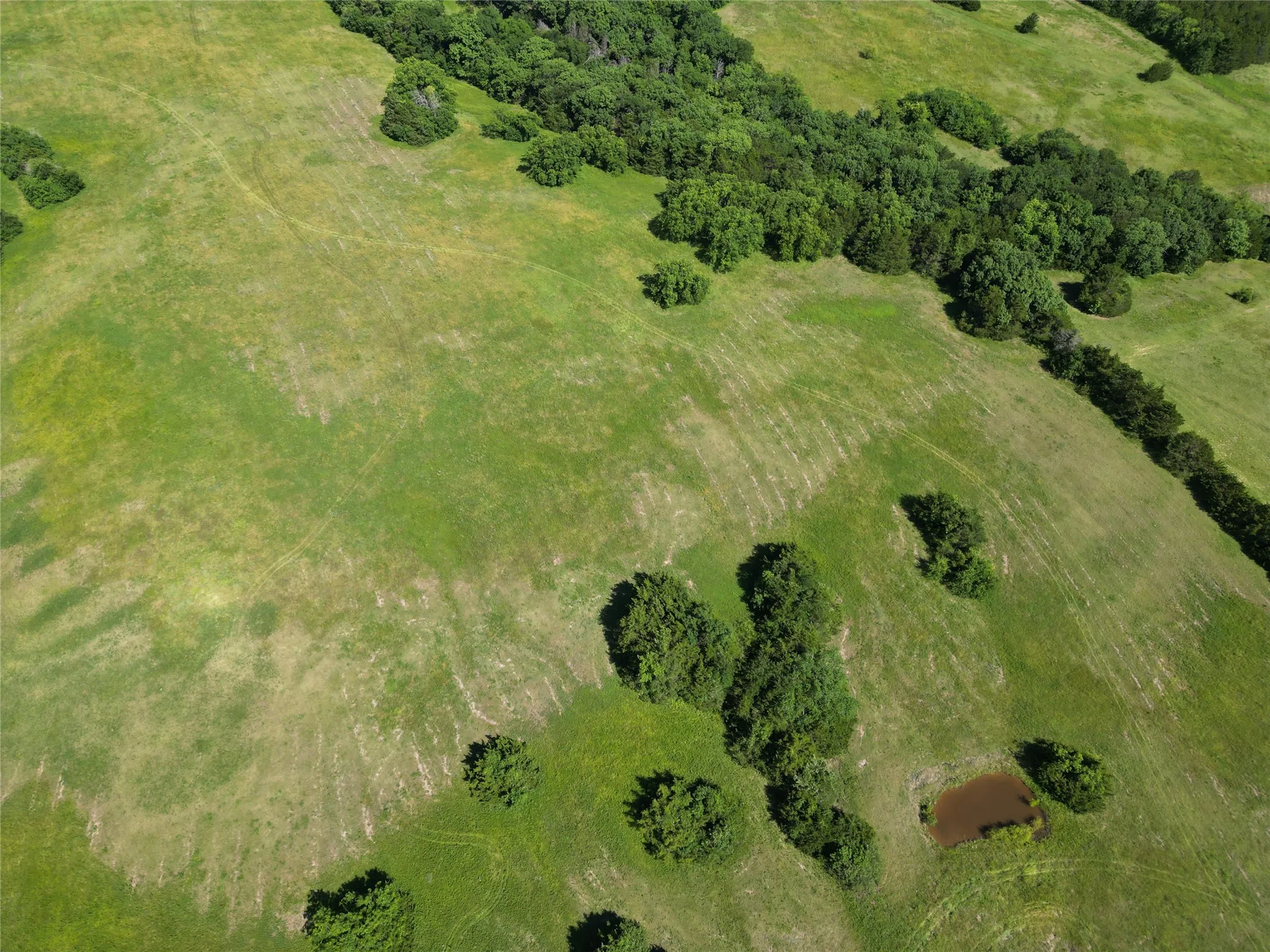 Unimproved Land For Sale in Grayson County , 451 Coker Road, Sherman, Texas 75090, 0, 0, Garage spaces, 0 Sqft, built in 0, mls#21342270, Real Estate Agent in Sherman, Homes For Sale in Grayson county, Homes For Sale in Sherman, Realtor in Sherman Texas, Real Estate Brokerage Independent Realty Texas, Luminita Cordes Realtor