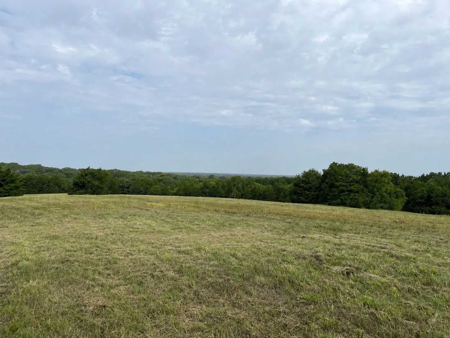Unimproved Land For Sale in Grayson County , 451 Coker Road, Sherman, Texas 75090, 0, 0, Garage spaces, 0 Sqft, built in 0, mls#21342270, Real Estate Agent in Sherman, Homes For Sale in Grayson county, Homes For Sale in Sherman, Realtor in Sherman Texas, Real Estate Brokerage Independent Realty Texas, Luminita Cordes Realtor