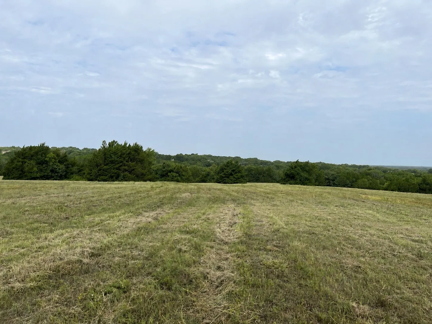 Unimproved Land For Sale in Grayson County , 451 Coker Road, Sherman, Texas 75090, 0, 0, Garage spaces, 0 Sqft, built in 0, mls#21342270, Real Estate Agent in Sherman, Homes For Sale in Grayson county, Homes For Sale in Sherman, Realtor in Sherman Texas, Real Estate Brokerage Independent Realty Texas, Luminita Cordes Realtor