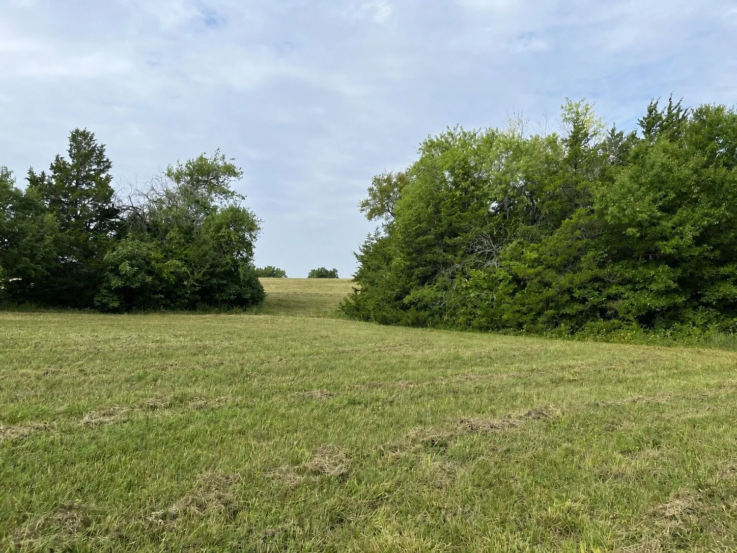 Unimproved Land For Sale in Grayson County , 451 Coker Road, Sherman, Texas 75090, 0, 0, Garage spaces, 0 Sqft, built in 0, mls#21342270, Real Estate Agent in Sherman, Homes For Sale in Grayson county, Homes For Sale in Sherman, Realtor in Sherman Texas, Real Estate Brokerage Independent Realty Texas, Luminita Cordes Realtor