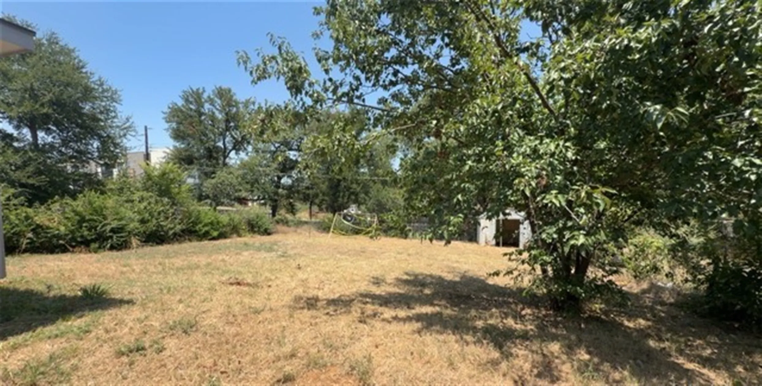 Back yard with plenty of potential.