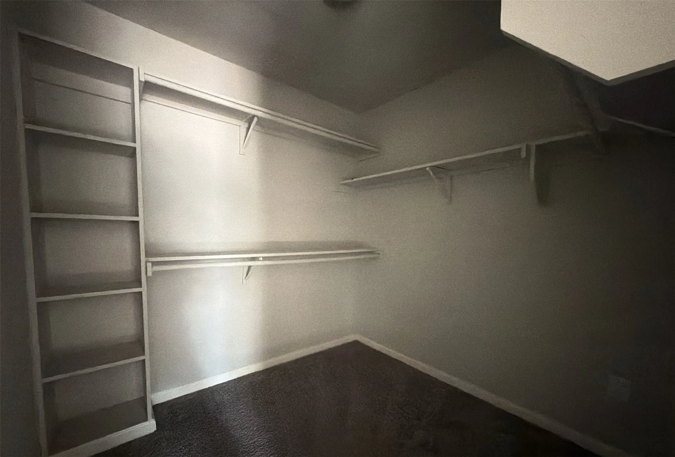 Primary walk-in closet includes built-in shelves.