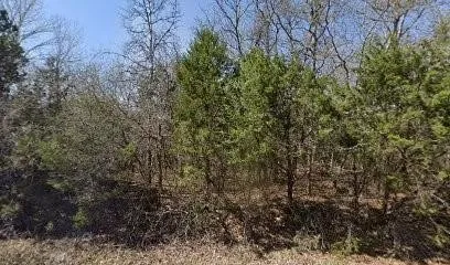 Unimproved Land For Sale in Hood County , 6210 Texas Trail, Granbury, Texas 76048, 0, 0, Garage spaces, 0 Sqft, built in 0, Price $10,000, mls#21330364, Real Estate Agent in Granbury, Homes For Sale in Hood county, Homes For Sale in Granbury, Realtor in Granbury Texas, Real Estate Brokerage Independent Realty Texas, Luminita Cordes Realtor