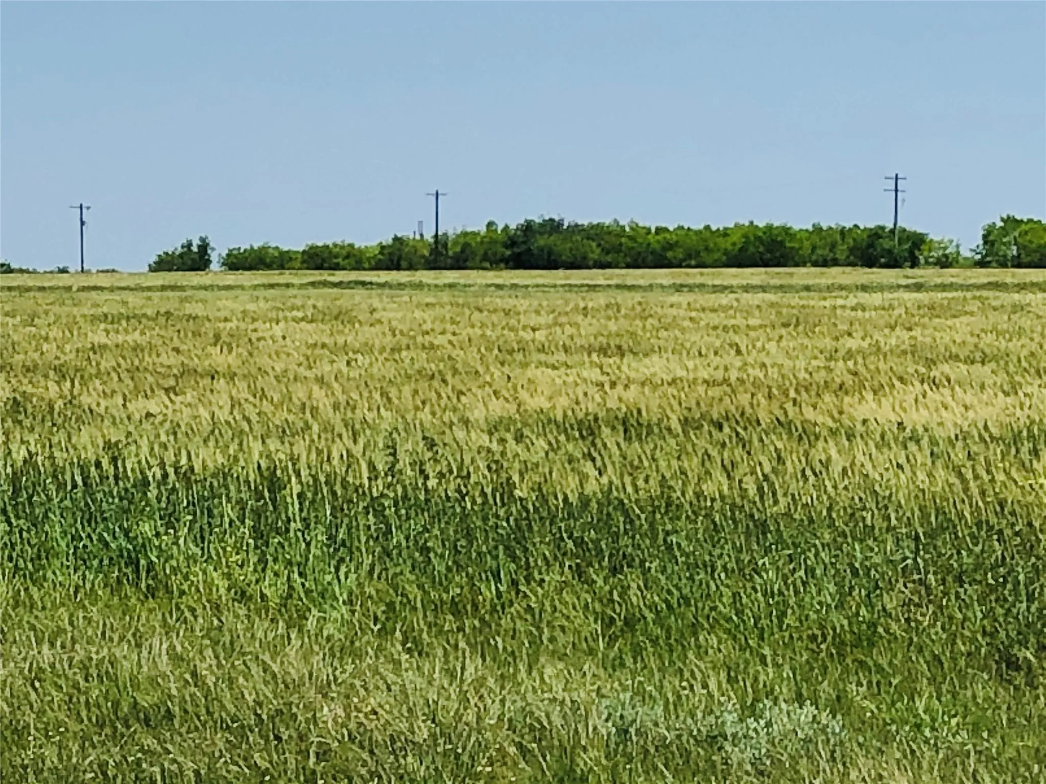 Unimproved Land For Sale in Callahan County , Lot 24 Cessna Drive, Abilene, Texas 79601, 0, 0, Garage spaces, 0 Sqft, built in 0, mls#21342631, Real Estate Agent in Abilene, Homes For Sale in Callahan county, Homes For Sale in Abilene, Realtor in Abilene Texas, Real Estate Brokerage Independent Realty Texas, Luminita Cordes Realtor