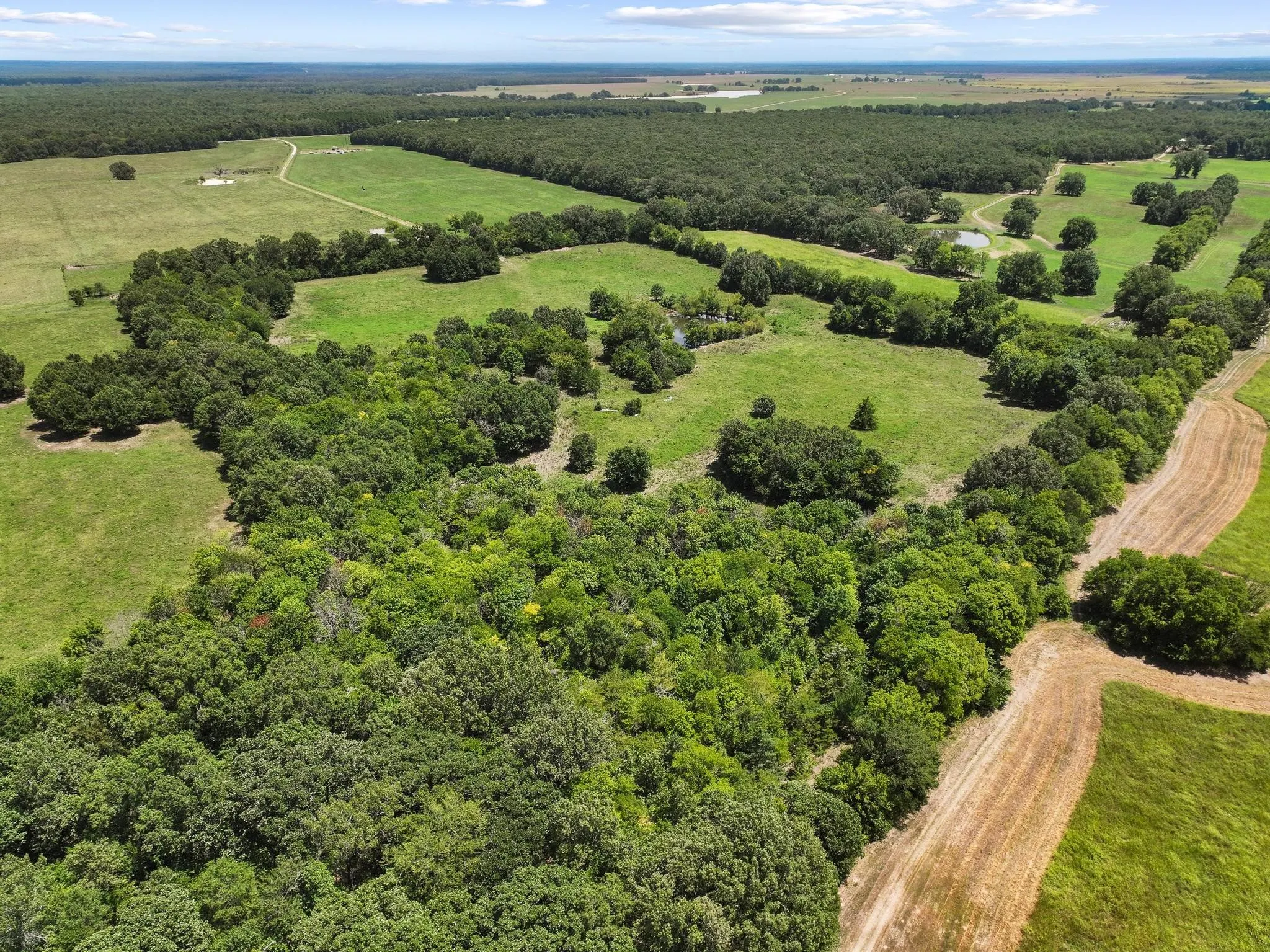 Ranch For Sale in Red River (TX) County , 7090 Farm Market 412, Clarksville, Texas 75426, 0, 0, Garage spaces, 0 Sqft, built in 0, Price $949,000, mls#21342693, Real Estate Agent in Clarksville, Homes For Sale in Red River (TX) county, Homes For Sale in Clarksville, Realtor in Clarksville Texas, Real Estate Brokerage Independent Realty Texas, Luminita Cordes Realtor