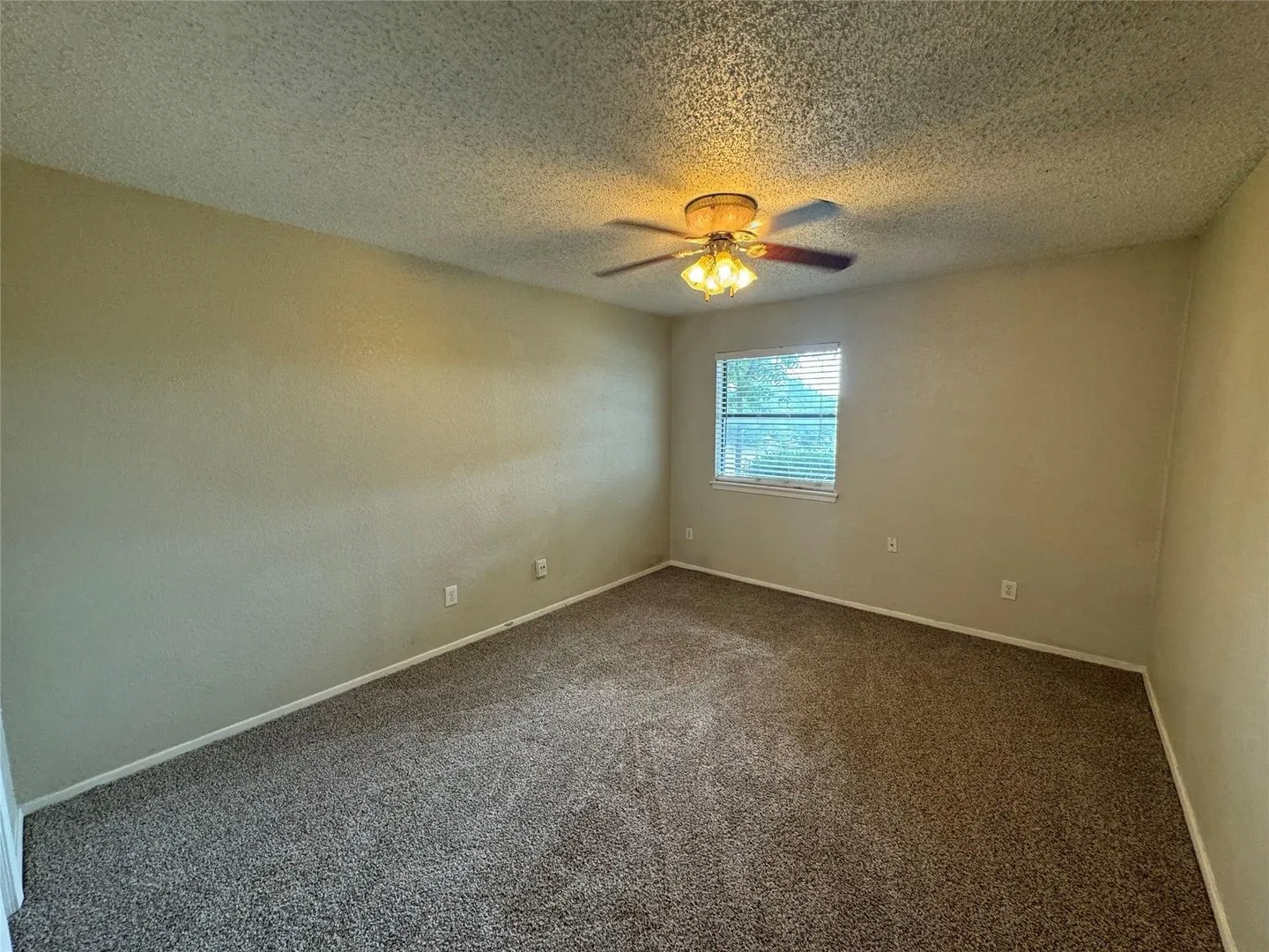 Carpeted room with a ceiling fan light fixture, textured walls, and a window with blinds
