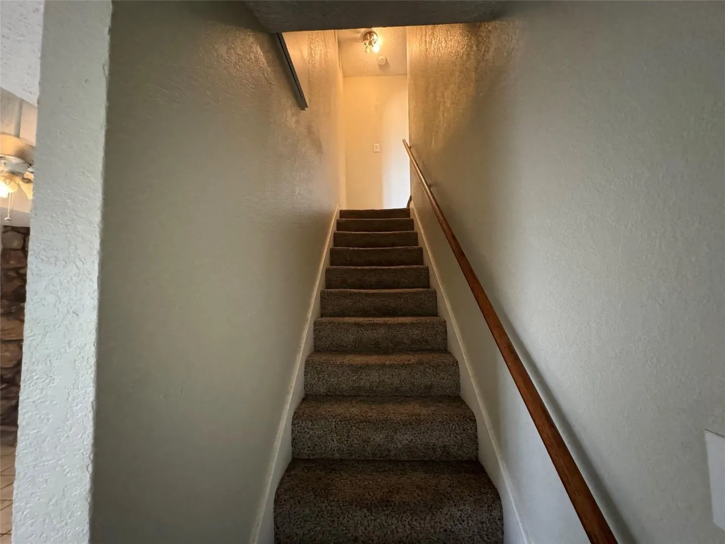 Carpeted staircase with a wood-finish handrail and light-toned walls