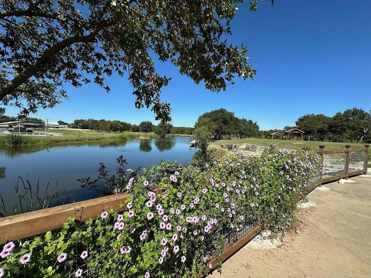 Lake Cove