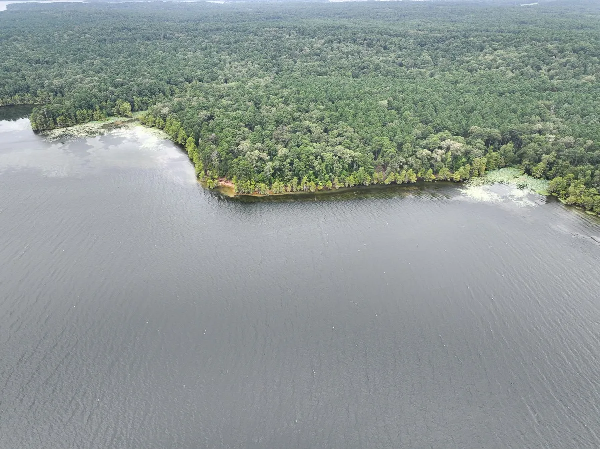 Unimproved Land For Sale in Sabine (TX) County , 14 Arledge Trail/Off Gateway Meadows, Hemphill, Texas 75948, 0, 0, Garage spaces, 0 Sqft, built in 0, Price $1,118,600, mls#21342721, Real Estate Agent in Hemphill, Homes For Sale in Sabine (TX) county, Homes For Sale in Hemphill, Realtor in Hemphill Texas, Real Estate Brokerage Independent Realty Texas, Luminita Cordes Realtor