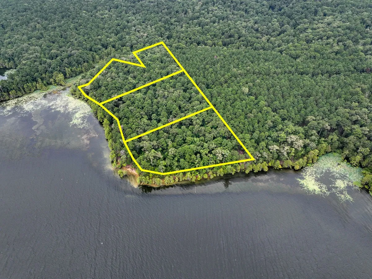 Unimproved Land For Sale in Sabine (TX) County , 14 Arledge Trail/Off Gateway Meadows, Hemphill, Texas 75948, 0, 0, Garage spaces, 0 Sqft, built in 0, Price $1,118,600, mls#21342721, Real Estate Agent in Hemphill, Homes For Sale in Sabine (TX) county, Homes For Sale in Hemphill, Realtor in Hemphill Texas, Real Estate Brokerage Independent Realty Texas, Luminita Cordes Realtor